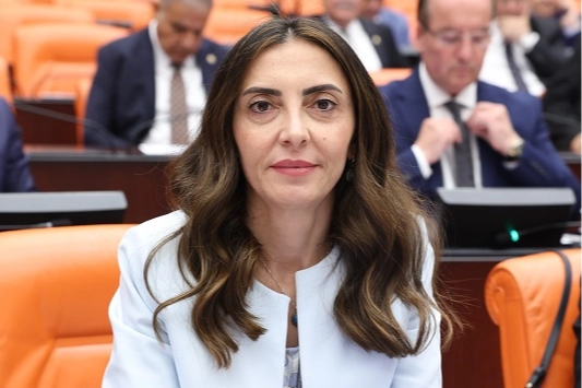 CHP&rsquo;li Altaca Kayışoğlu'ndan 'alt komisyon' &ccedil;ağrısı