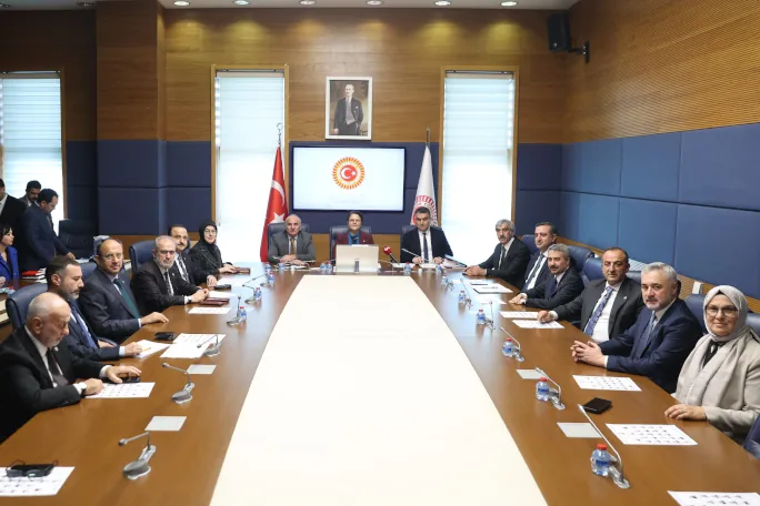 TBMM İnsan Haklarını İnceleme Komisyonu'nda Başkan Vekili se&ccedil;ildi