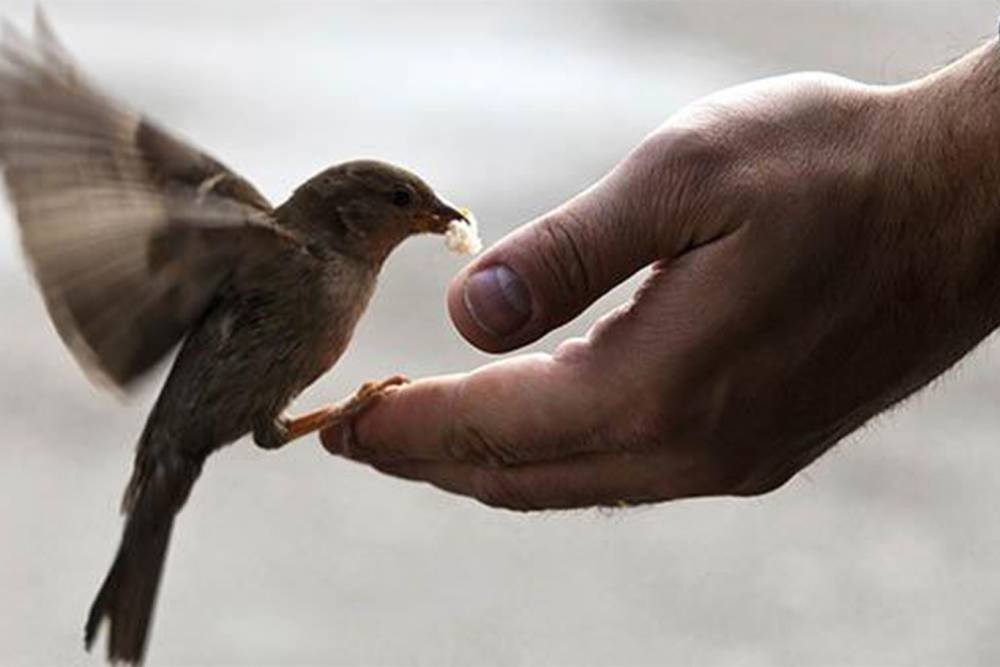 Uzmanlara g&ouml;re iyiliğin ger&ccedil;ek g&uuml;c&uuml; niyette saklı