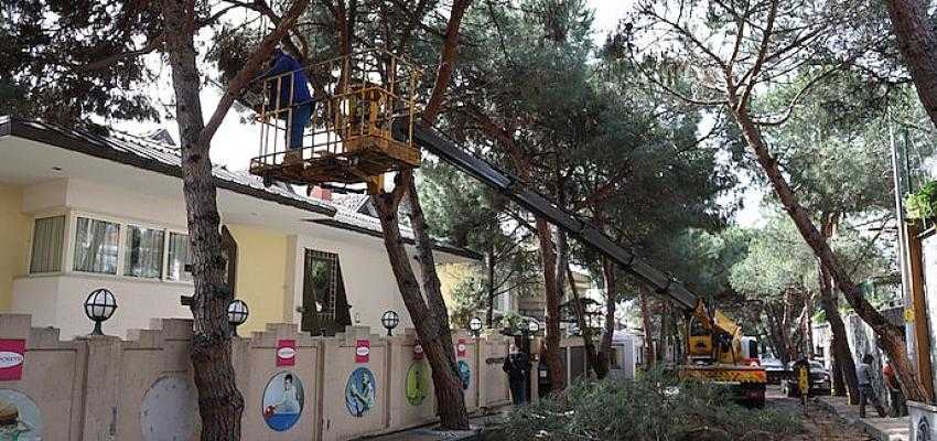 Kartal Belediyesi Park ve Bahçeler Müdürlüğü’nden Yaz Seferberliği