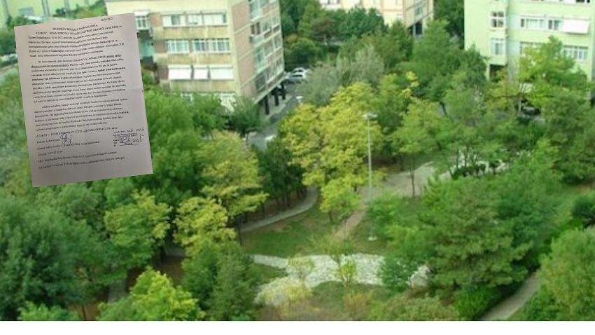 Prof Dr. Ayfer Kaynar, Bitmeyen beton aşkına hep birlikte dur diyelim